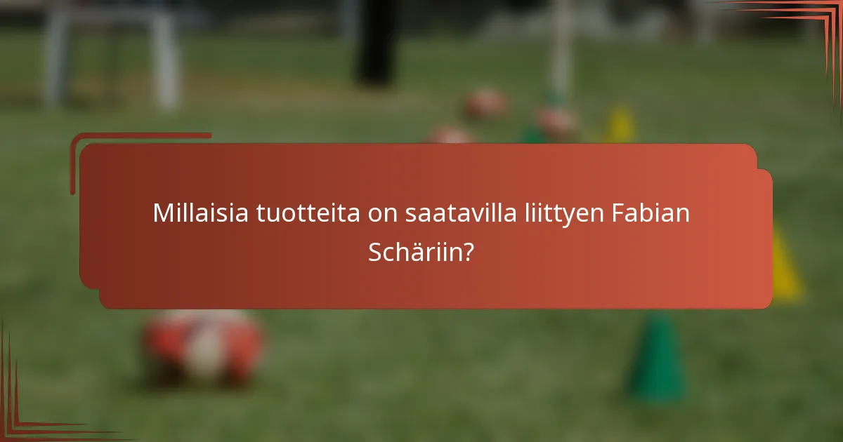 Millaisia tuotteita on saatavilla liittyen Fabian Schäriin?